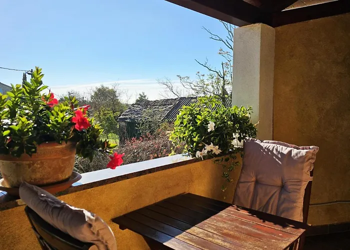Beautiful Casa Milena With Pool In Visnjan Villa Rapavel